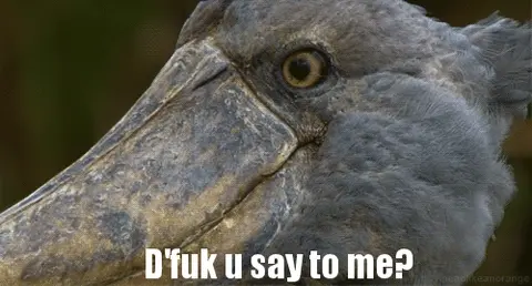 dafuq